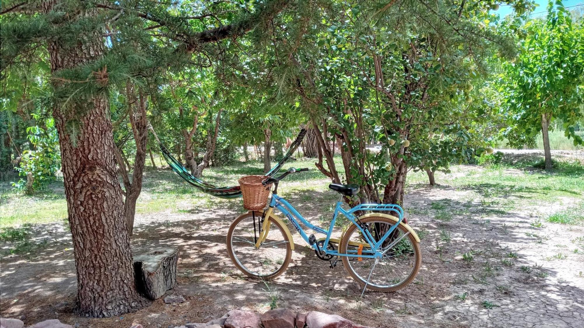 Aire De Barreal Hostel Andino מראה חיצוני תמונה