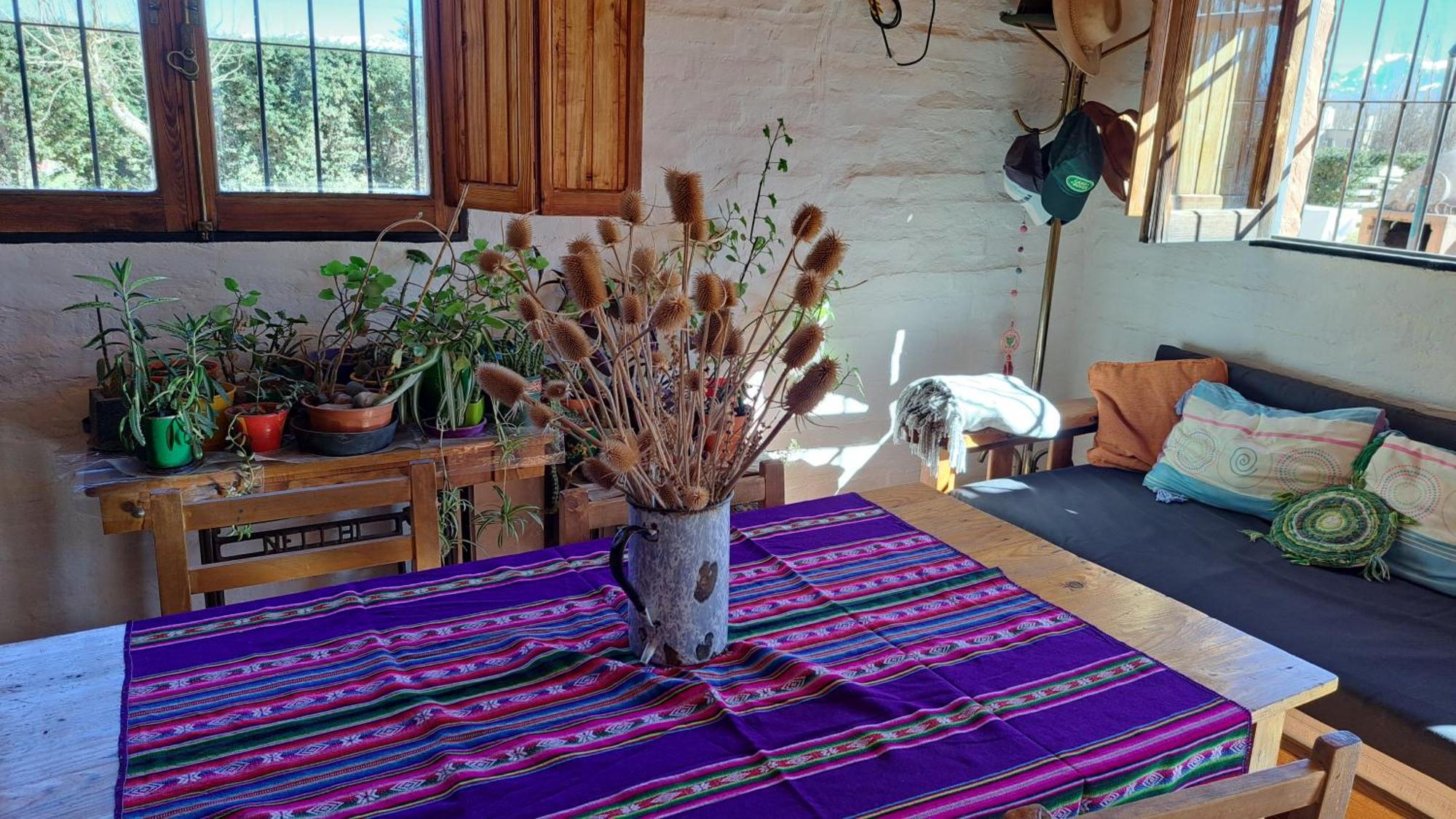 Aire De Barreal Hostel Andino מראה חיצוני תמונה
