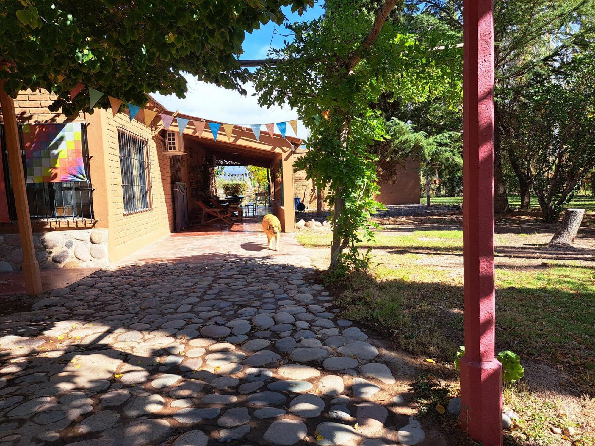 Aire De Barreal Hostel Andino מראה חיצוני תמונה